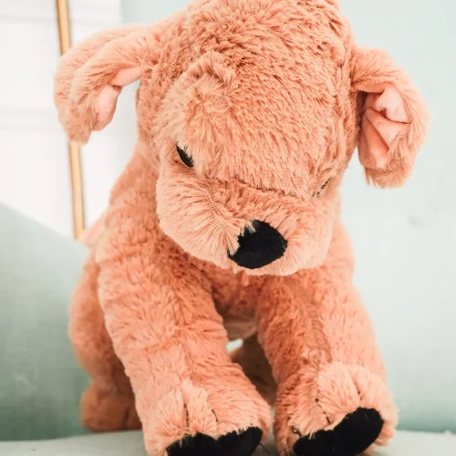 Ravi Plush Dog Golden Retriever, Soft Toy, 30 Cm, 11 Inches, 0.9 Feet, Brown - Teddyway